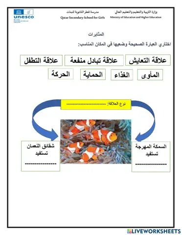السمك المهرج وشقائق النعمان