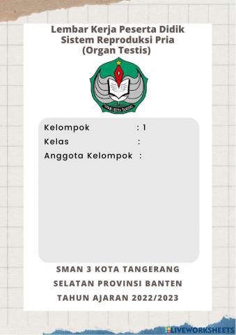 Sistem Reproduksi Manusia