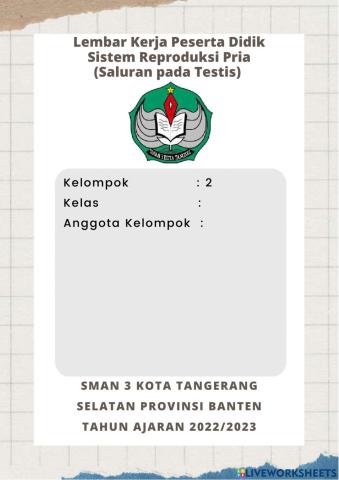 Sistem Reproduksi Manusia