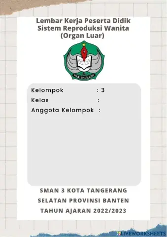 Sistem Reproduksi Manusia