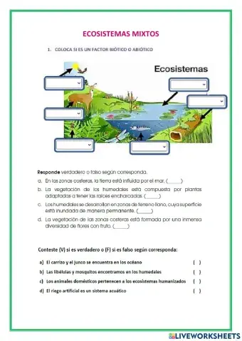 Ecosistemas mixtos