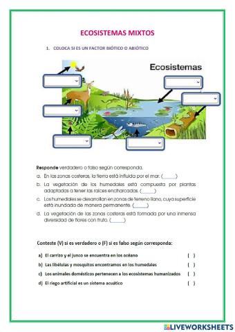Ecosistemas mixtos
