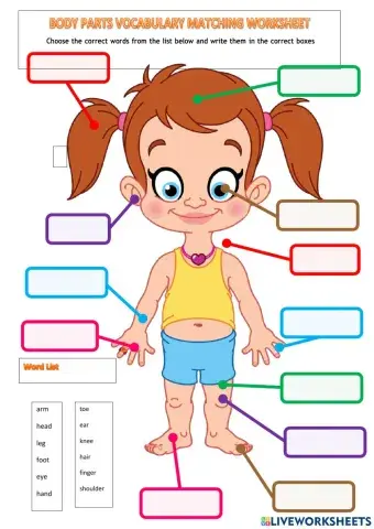 Body parts elementary