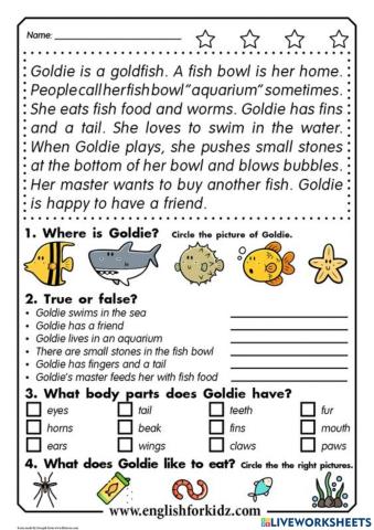Reading comprehension Goldie fish