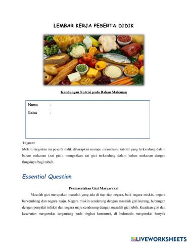 Kandungan Nutrisi Pada Bahan Makanan