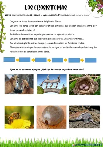 Ecosistemas