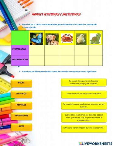 Animales vertebrados e invertebrados