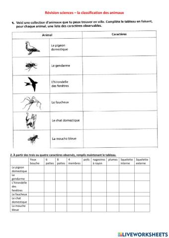 Classification des animaux