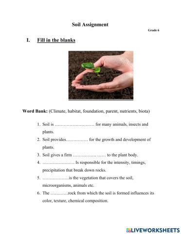 Soil Profile