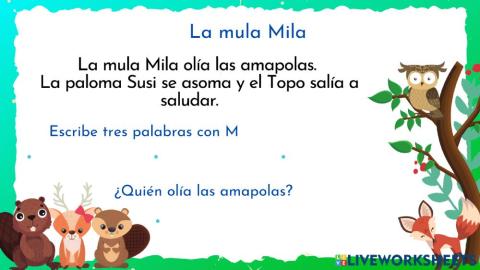 Comprensión de lectura