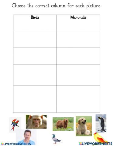 Mammal and birds
