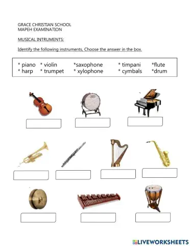 Musical Instruments