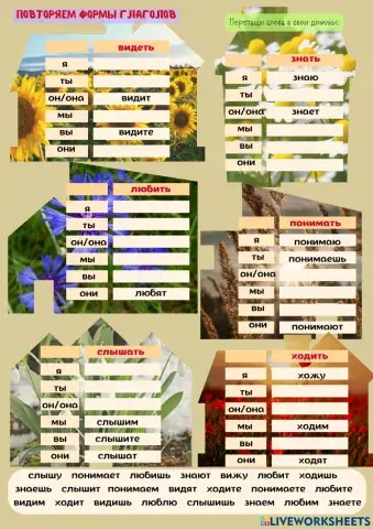 Повторяем формы глаголов.