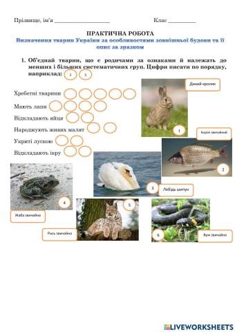 Визначення тварин України за особливостями зовнішньої будови