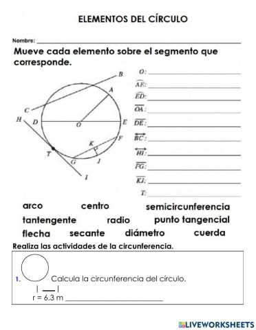 Elementos del círculo y circunferencia