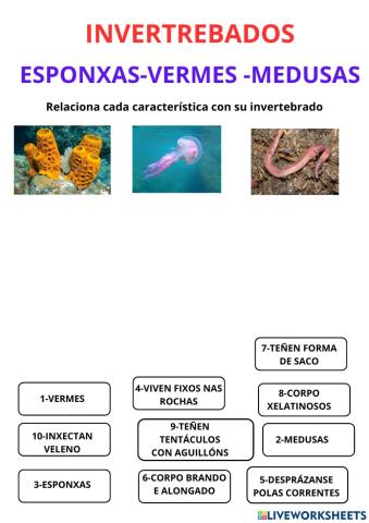 Medusas vermes esponxas