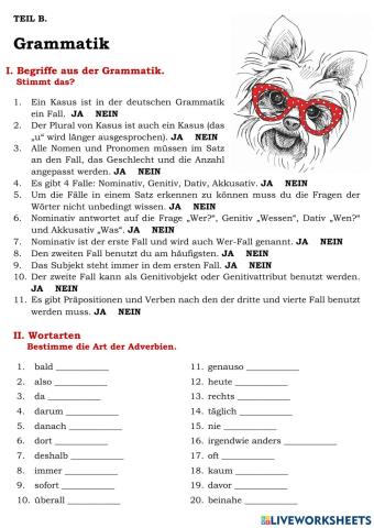 Grammatik 5
