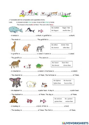 Comparatives