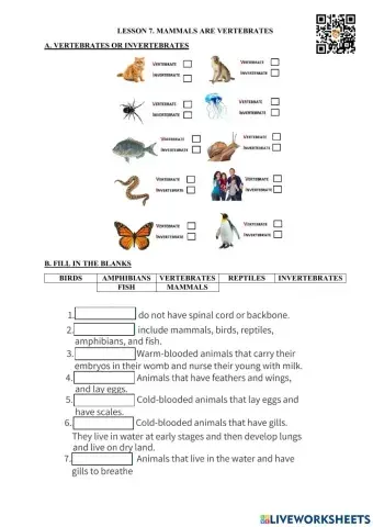Lesson 7. mammals are vertebrates