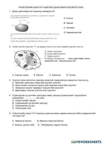 Шалгуур үнэлгээ биологи