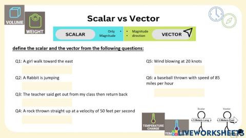 Define scalar & vector