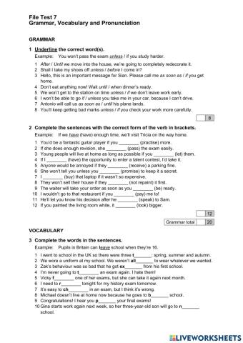 NEF INT - Test 7 - V, G & P