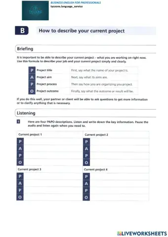 Describe your project