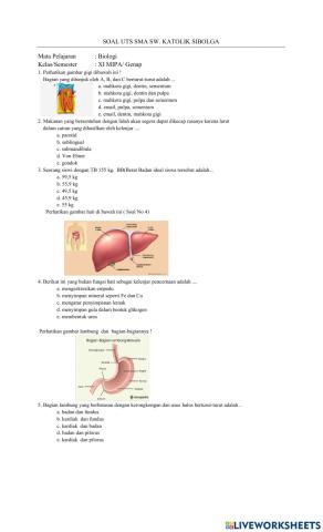 Ujian semester bilogi kelas xi