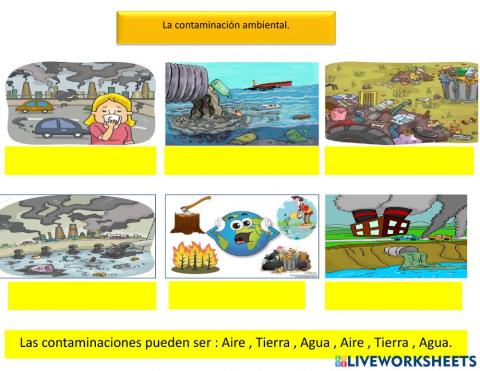 Contaminación Ambiental