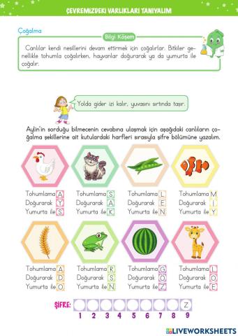 Canlıların Ortak Özellikleri