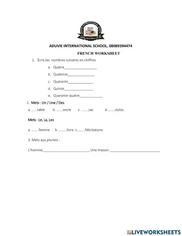 Numbers and Articles in French