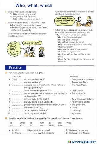 Basic Grammar-31 Special questions-2 (who, what, which)
