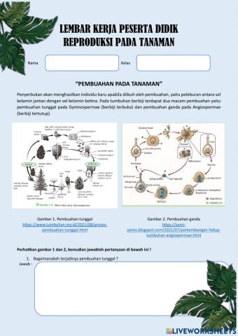 Pembuahan pada Tumbuhan