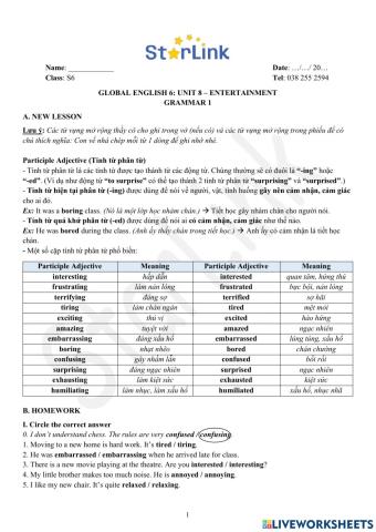 Viet Teacher-S6-WEEK 29-U8-GRAMMAR 1