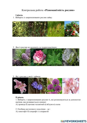 Різноманіття рослин