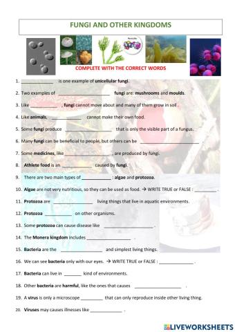 FUNGI AND OTHER KINGDOMS: SCIENCE, 6th Primary