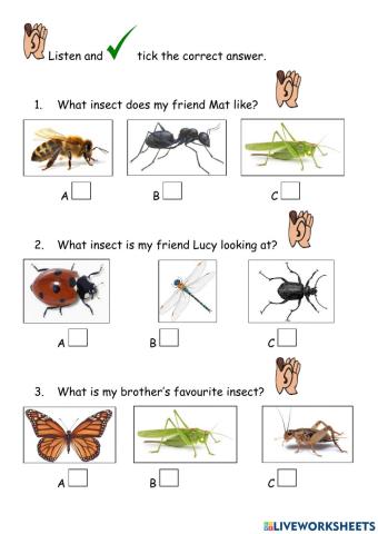 Insects