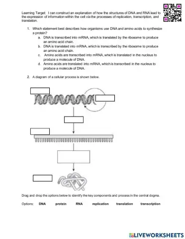 Biology Milestones Prep - Protein Synthesis Interactive Activity