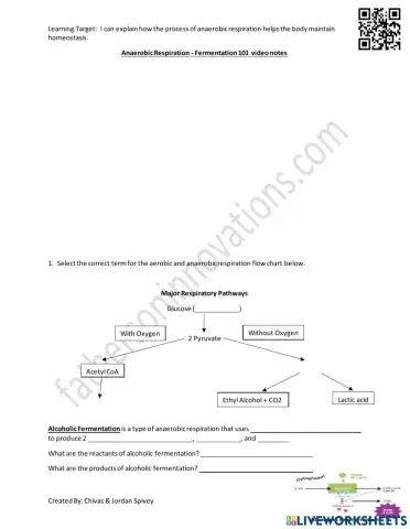 Anaerobic Respiration Fermentation Video Notes
