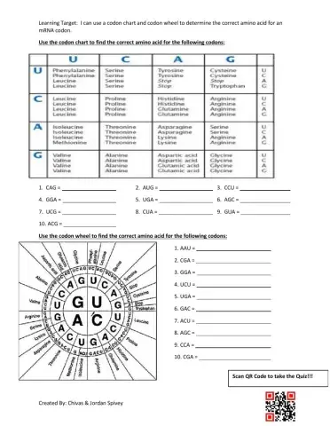 Codon Chart & Codon Wheel Interactive Activity