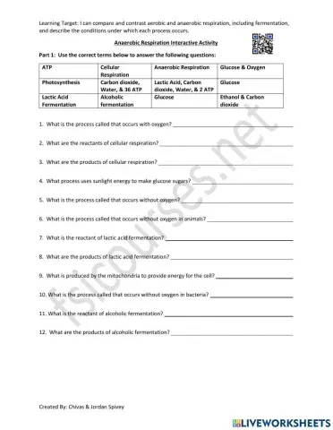 Aerobic vs. Anaerobic Respiration Interactive Activity