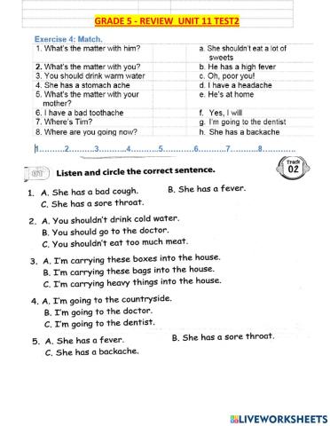 G5-review unit 11 listening test1