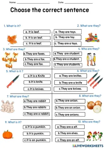 What is it, what are they