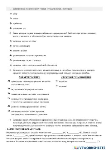 Проверочная работа