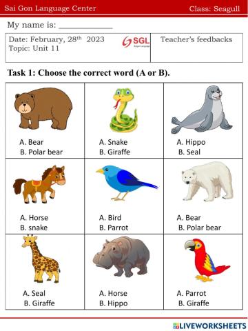 Seagull.FF1.U11(28.02)