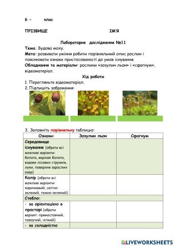 Лабораторне дослідження будови моху.