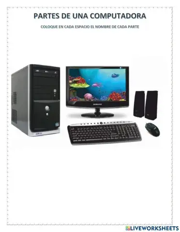 Partes de la computadora