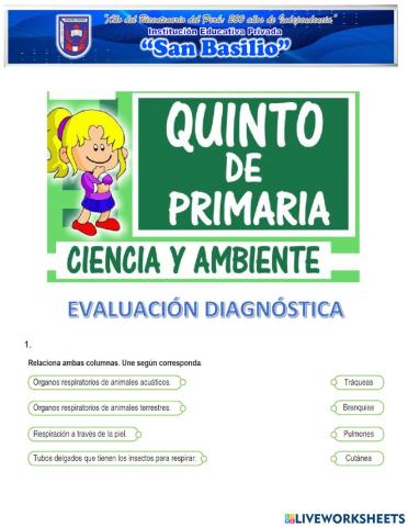 Evaluación