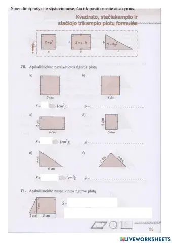 Trikampių, keturkampių plotai