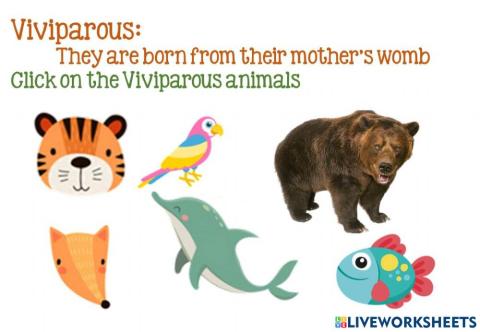 Viviparous